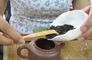 冲泡六堡茶：掌握投茶量的关键技巧