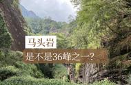 武夷山的三十六峰、七十二洞和九十九岩，是否都有种茶？揭秘真相