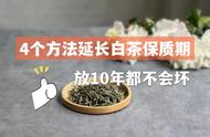 无需冰箱，白茶保存的4大秘诀，保质期长达10年