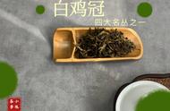 武夷岩茶中的白鸡冠：清流之味，无味至大