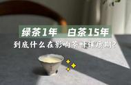 解密茶叶寿命：为何绿茶仅1年，白茶却达15年？