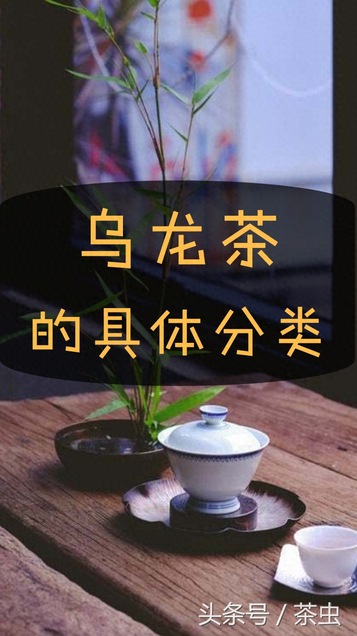 乌龙茶究竟有哪些？